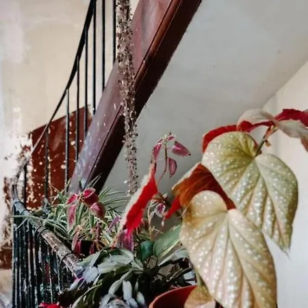 Charming Hideaway * Paris